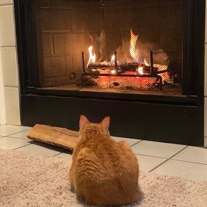 Meet your Posher, Monica